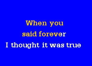 When you

said forever
I thought it was true