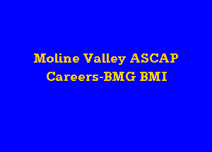 Moline Valley ASCAP

Careers-BMG BMI