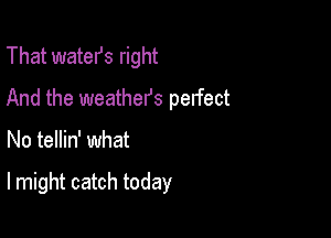 That watefs right
And the weathefs perfect

No tellin' what

lmight catch today