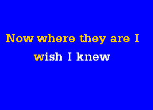 Now Where they are I

wish I knew