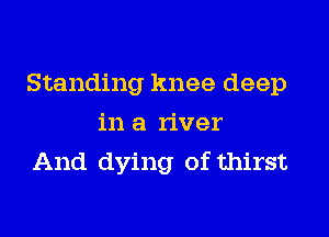 Standing knee deep

in a river
And dying of thirst