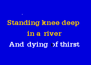Standing knee deep

in a river
And dying )f thirst