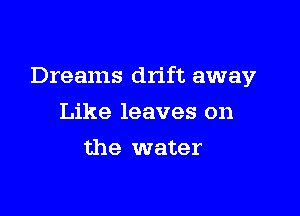 Dreams drift away

Like leaves on
the water