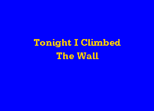Tonight I Climbed

The Wall