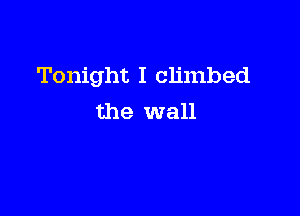 Tonight I climbed

the wall