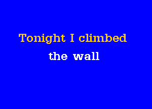 Tonight I climbed

the wall