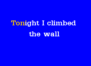 Tonight I climbed

the wall