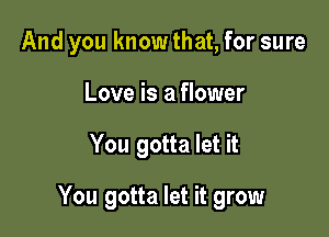 And you know that, for sure
Love is a flower

You gotta let it

You gotta let it grow