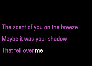 The scent of you on the breeze

Maybe it was your shadow

That fell over me