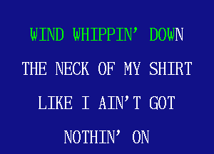 WIND WHIPPIW DOWN
THE NECK OF MY SHIRT
LIKE I AIWT GOT
NOTHIIW 0N