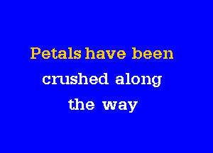 Petals have been

crushed along

the way