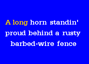 A long horn standin'
proud behind a rusty
barbed-wire fence