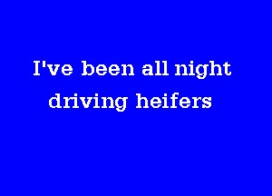 I've been all night

driving heifers