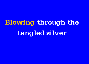 Blowing through the

tangled silver
