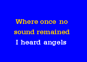 Where once no
sound remained

I heard angels
