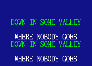 DOWN IN SOME VALLEY

WHERE NOBODY GOES
DOWN IN SOME VALLEY

WHERE NOBODY GOES