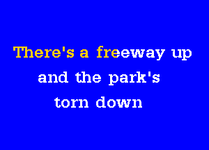 There's a freeway up

and the park's
torn down
