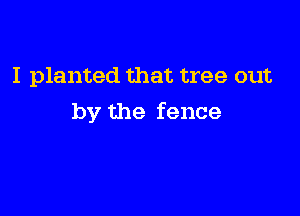 I planted that tree out

by the fence