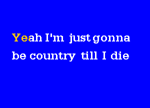 Yeah I'm just gonna

be country till I die