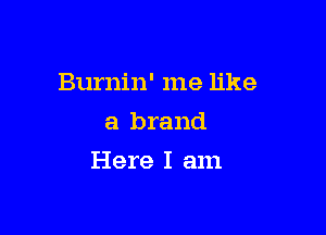 Burnin' me like
a brand

Here I am