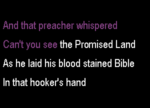 And that preacher whispered

Can't you see the Promised Land
As he laid his bIood stained Bible
In that hookefs hand