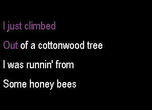 I just climbed

Out of a cottonwood tree
I was runnin' from

Some honey bees