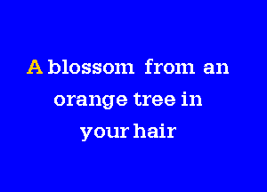 Ablossom from an
orange tree in

your hair