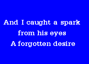 And I caught a spark
from his eyes
A forgotten desire