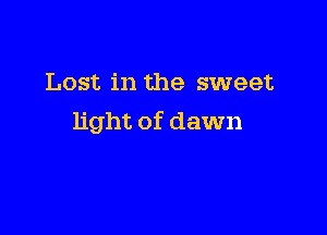 Lost in the sweet

light of dawn