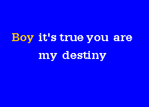 Boy it's true you are

my destiny
