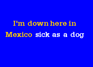 I'm down here in

Mexico sick as a dog