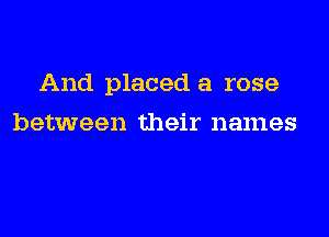 And placed a rose
between their names