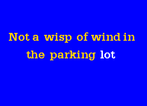 Not a Wisp of Wind in

the parking lot