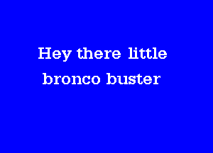Hey there little

bronco buster