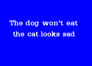 The dog won't eat

the cat looks sad