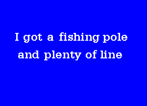 I got a fishing pole

and plenty of line