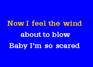 NowI feel the wind
about to blow

Baby I'm so scared