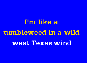 I'm like a
tumbleweed in a wild
west Texas wind