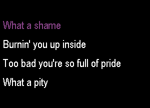 What a shame

Burnin' you up inside

Too bad you're so full of pride
What a pity