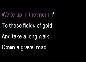 Wake up in the mornin'
To these fields of gold

And take a long walk

Down a gravel road