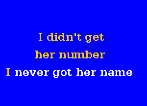 I didn't get

her number
I never got her name