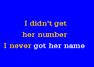 I didn't get

her number
I never got her name