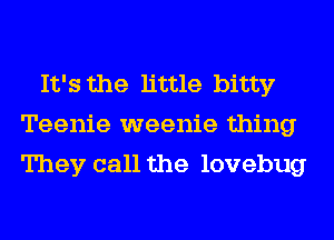 It's the little bitty
Teenie weenie thing
They call the lovebug