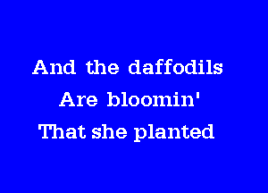 And the daffodils

Are bloomin'
That she planted