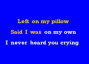 Leif. on my pillow

Said I was on my own

I never heard you crying