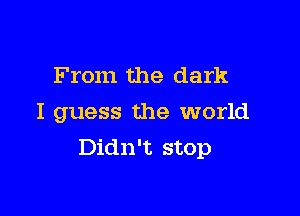 From the dark

I guess the world
Didn't stop