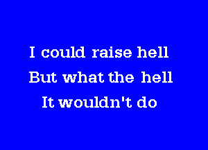 I could raise hell

But What the hell
It wouldn't do