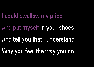 I could swallow my pride
And put myself in your shoes

And tell you that I understand

Why you feel the way you do