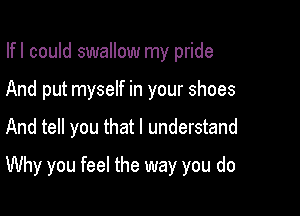Ifl could swallow my pride
And put myself in your shoes

And tell you that I understand

Why you feel the way you do