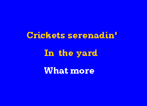 Crickets serenadin'

In the yard

What more